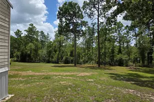 750 NE 131st Terrace, Williston, FL 32696 - Photo 42