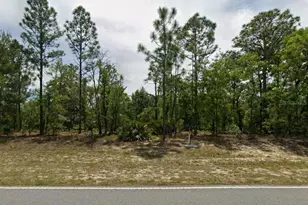 1782 W Hampshire Blvd, Citrus Springs, FL 34434 - Photo 1
