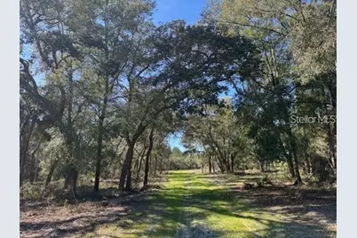 Tbd NE 150th Ave Road #LOT 5, Fort Mc Coy, FL 32134 - Photo 1