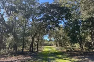 16 SE Broadway St, Fort Mc Coy, FL 32134 - Photo 1
