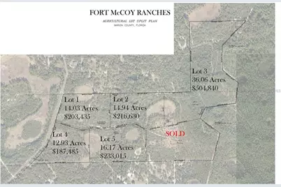 Tbd NE 150th Ave Road #LOT 5, Fort Mc Coy, FL 32134 - Photo 2