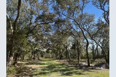 Tbd NE 150th Ave Road #LOT 5, Fort Mc Coy, FL 32134 - Photo 18