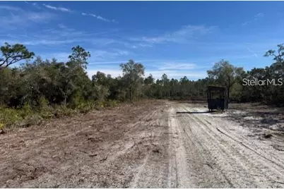 Tbd NE 150th Ave Road #LOT 5, Fort Mc Coy, FL 32134 - Photo 4