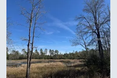 Tbd NE 150th Ave Road #LOT 5, Fort Mc Coy, FL 32134 - Photo 6