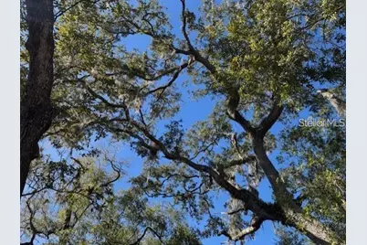 Tbd NE 150th Ave Road #LOT 5, Fort Mc Coy, FL 32134 - Photo 8