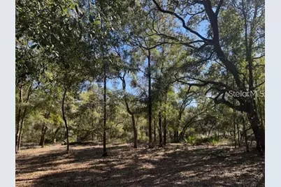 Tbd NE 150th Ave Road #LOT 5, Fort Mc Coy, FL 32134 - Photo 14