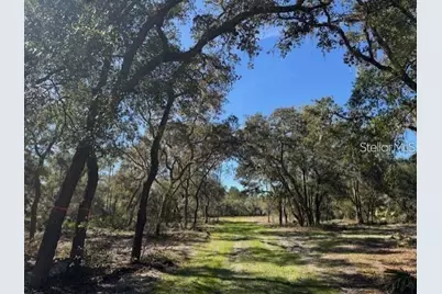 Tbd NE 150th Ave Road #LOT 5, Fort Mc Coy, FL 32134 - Photo 12