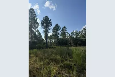 Tbd NE 150th Ave Road #LOT 5, Fort Mc Coy, FL 32134 - Photo 20