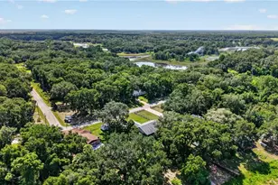 6255 SE 165th Ct, Ocklawaha, FL 32179 - Photo 34