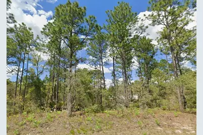 2175 W Galaxy Lane, Citrus Springs, FL 34434 - Photo 2