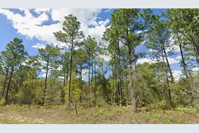 2193 W Galaxy Lane, Citrus Springs, FL 34434 - Photo 1