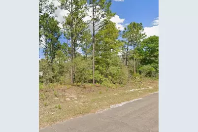 2193 W Galaxy Lane, Citrus Springs, FL 34434 - Photo 4