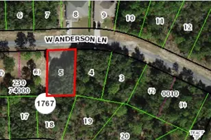 602 W Anderson Ln, Citrus Springs, FL 34434 - Photo 1