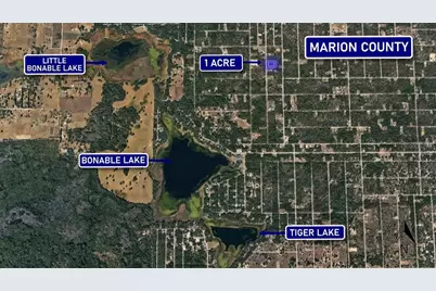 0000 Breezy Point Drive, Dunnellon, FL 34431 - Photo 4