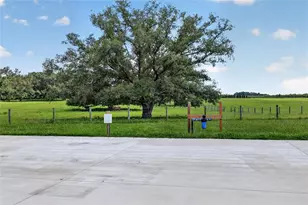 20500 NW 27 St, Morriston, FL 32668 - Photo 14
