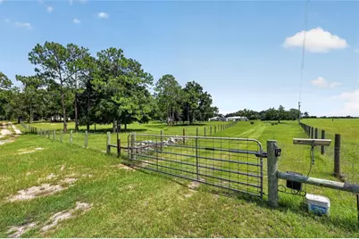 20500 NW 27th Street, Morriston, FL 32668 - Photo 8