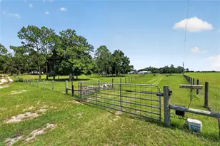 20500 NW 27 St, Morriston, FL 32668 - Photo 8