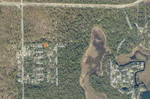 20445 NE 144 Ln, Fort Mc Coy, FL 32134 - Photo 16
