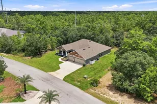 14 Lupine St, Homosassa, FL 34446 - Photo 42