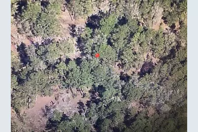 0 SW 19 Place, Ocala, FL 34481 - Photo 4