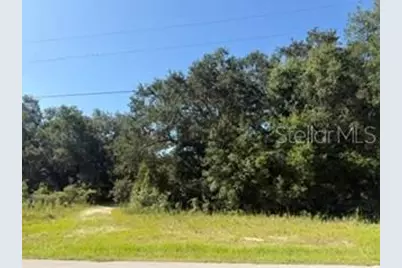 Tbd SE 59th Place, Ocklawaha, FL 32179 - Photo 4