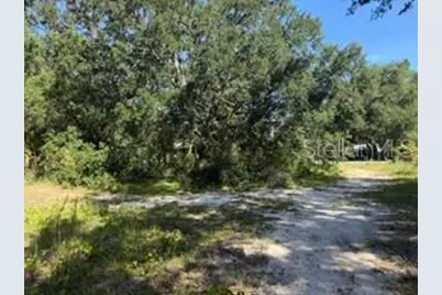 Tbd SE 59th Place, Ocklawaha, FL 32179 - Photo 6