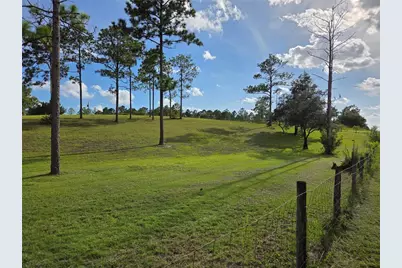 13030 SE 21st Place, Morriston, FL 32668 - Photo 6