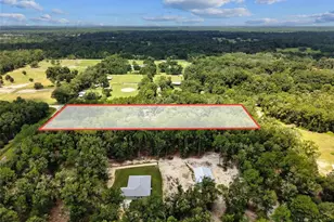 5581 NE 157th Terrace, Williston, FL 32696 - Photo 44