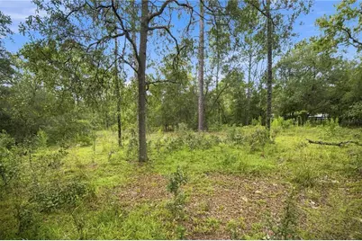 21350 SE 66th Street, Morriston, FL 32668 - Photo 4