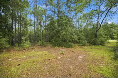 21350 SE 66th Street, Morriston, FL 32668 - Photo 14