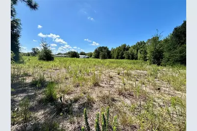 Tbd SW 132nd Avenue, Dunnellon, FL 34432 - Photo 10