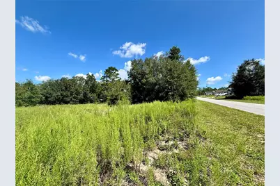 Tbd SW 132nd Avenue, Dunnellon, FL 34432 - Photo 6