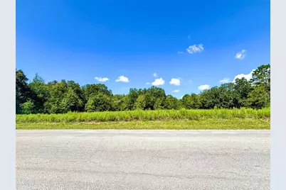 Tbd SW 132nd Avenue, Dunnellon, FL 34432 - Photo 4