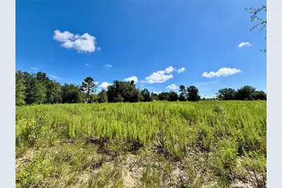 Tbd SW 132nd Avenue, Dunnellon, FL 34432 - Photo 8