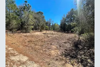 17530 SE Highway 452, Umatilla, FL 32784 - Photo 32