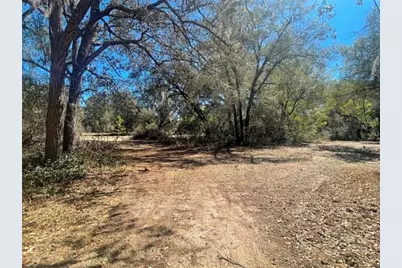 17530 SE Highway 452, Umatilla, FL 32784 - Photo 30