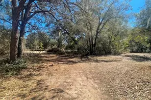 17530 SE Hwy 452, Umatilla, FL 32784 - Photo 30