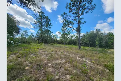 Sw Nectarine Lane, Dunnellon, FL 34431 - Photo 1