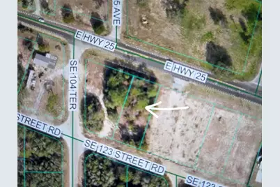 E Hwy 25, Belleview, FL 34420 - Photo 2