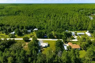 21875 NE 135th Ln, Fort Mc Coy, FL 32134 - Photo 38