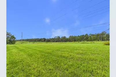 16962 SW 44th Circle, Ocala, FL 34473 - Photo 22