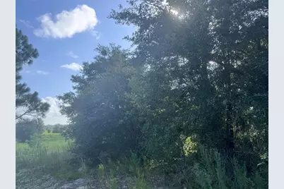 2251 E Four Seasons Lane, Inverness, FL 34453 - Photo 6