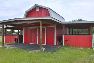 19431 NE 17 Pl, Williston, FL 32696 - Photo 12