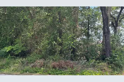 Lot #00 SE 62nd Street, Belleview, FL 34420 - Photo 4