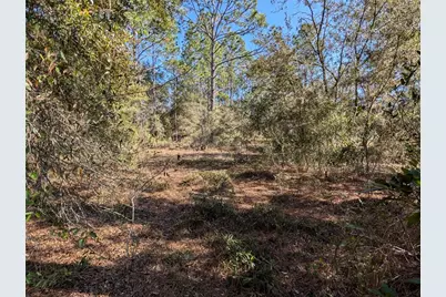 Sw Soundview Drive, Dunnellon, FL 34431 - Photo 6