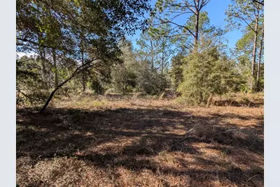 Sw Soundview Drive, Dunnellon, FL 34431 - Photo 10