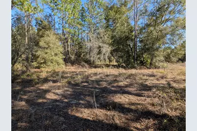 Sw Soundview Drive, Dunnellon, FL 34431 - Photo 8