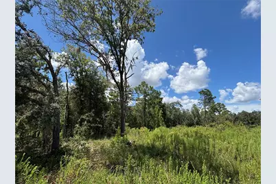12601 SW 98th Street, Dunnellon, FL 34432 - Photo 2