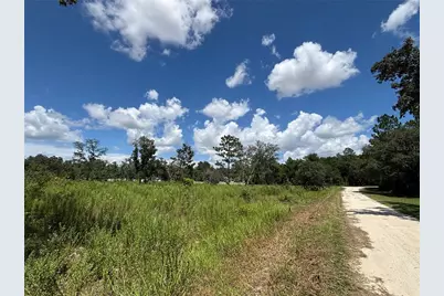 12601 SW 98th Street, Dunnellon, FL 34432 - Photo 6