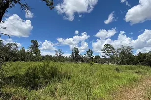 12601 SW 98th St, Dunnellon, FL 34432 - Photo 1
